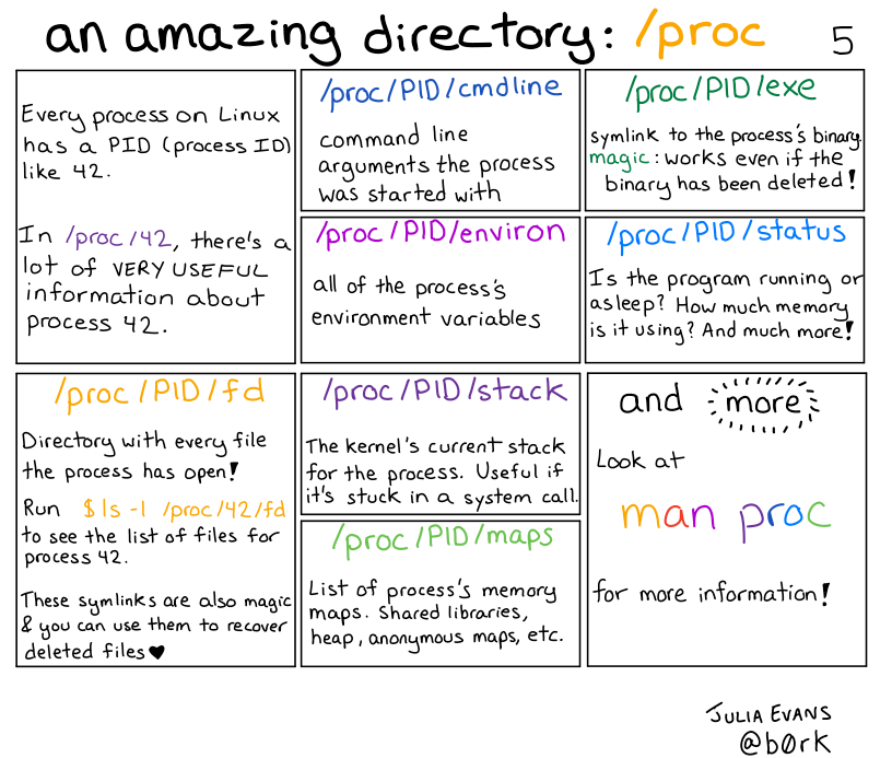 an amazing directory: /proc